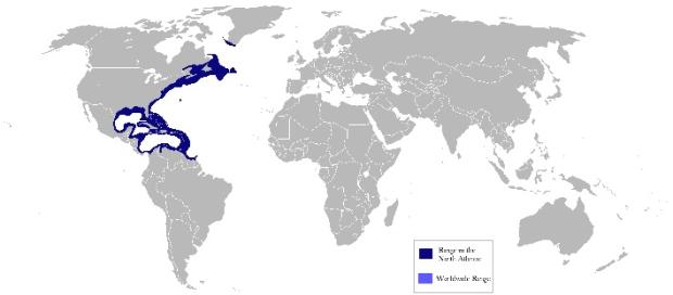 American eel distribution map
