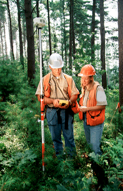 service foresters