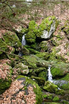 trail