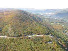 spruce hill