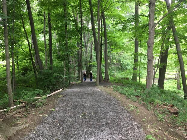 River to Range Accessible Trail, South Hadley