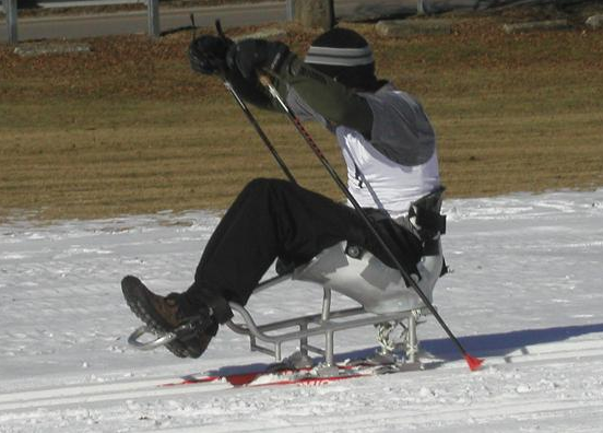 A skiier is sitting in t sitski with legs slightly bent. The skier has their arms raised and is pushing two short ski poles against the snow.