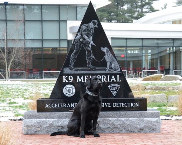 Dog in front of canine memorial