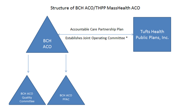 Figure 1: THPP and BCH ACO Governing Structure	   schematic depicting BCH ACO’s governance structure -blue