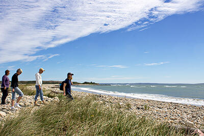 The shore of rocky, windswept Cuttyhunk Island. (Photos by Claudia Geib)