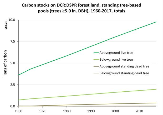 Carbon stored in standing trees on DCR lands has more than doubled since 1960