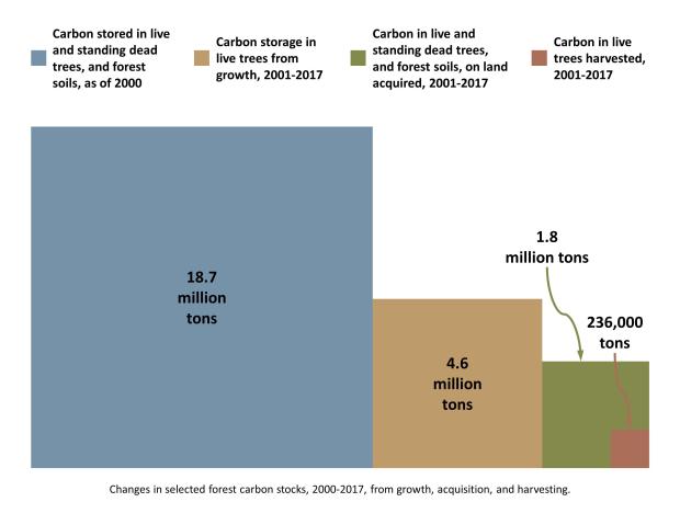 Changes in selected forest carbon stocks between 2000 - 2017