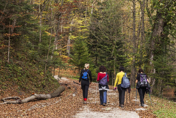 hikers