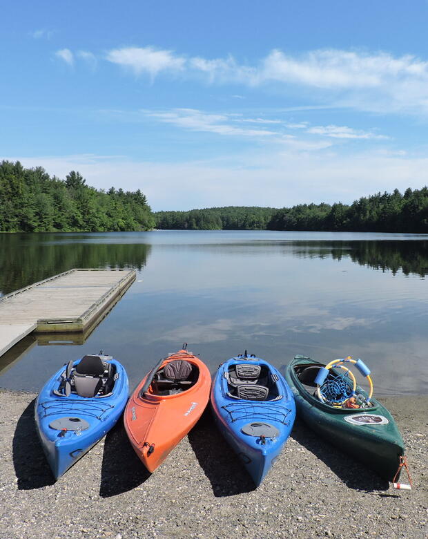 Four kayaks are lined up at the lakeshore. A dock runs out onto the water on the left. The lake is reflecting the blue sky and trees.