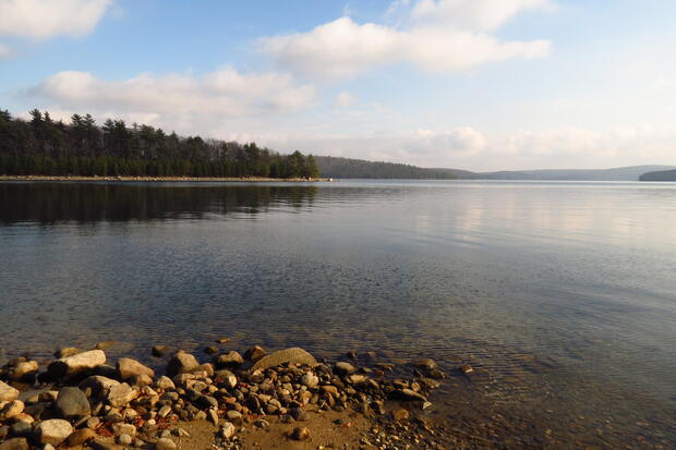 Quabbin Reservoir Fishing Guide | Mass.gov
