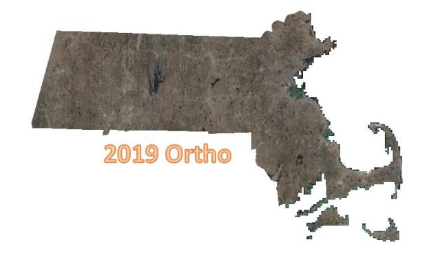 statewide ortho 2019
