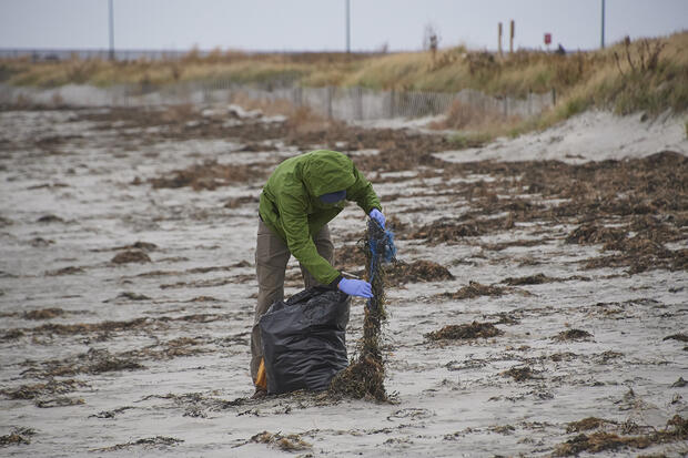 A photo of a person doing a beach cleanup.