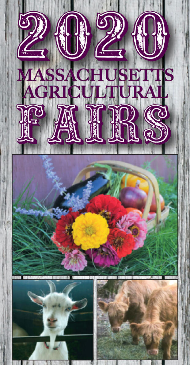 fairs brochure cover