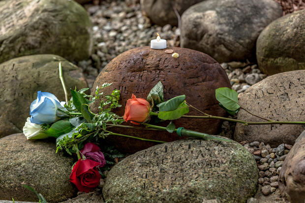 Engraved stones in the Garden with flowers