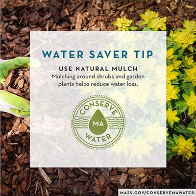 Water savings tips Use natural mulch