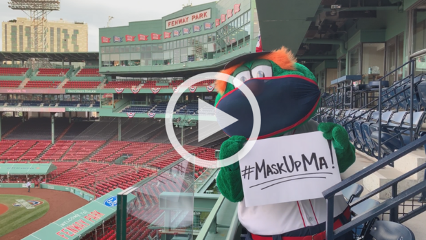 Wally the Green Monster #MaskUpMA