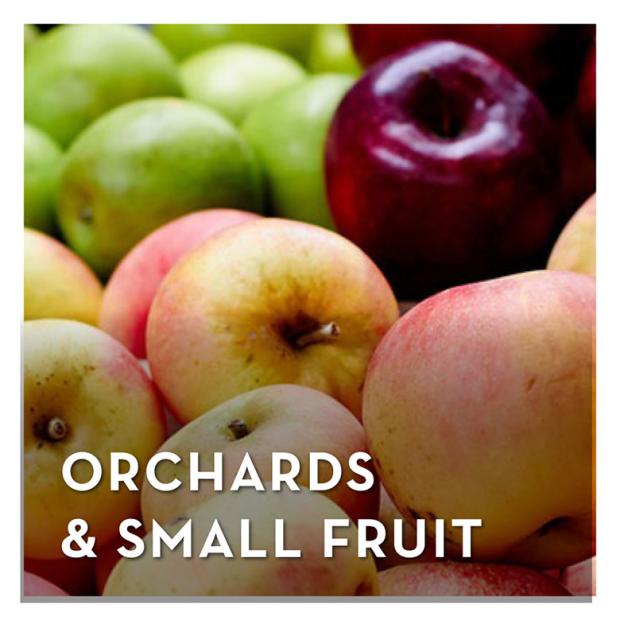 orchards and small fruit