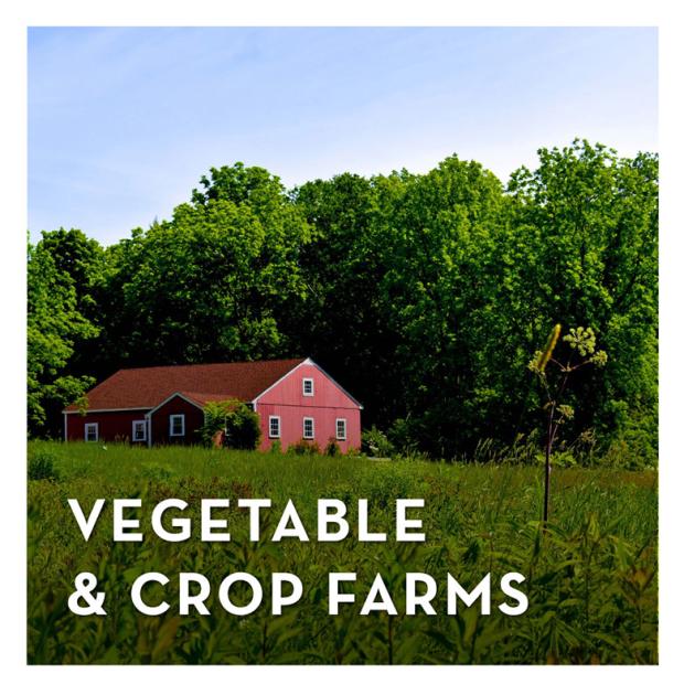 vegetable and crop farms