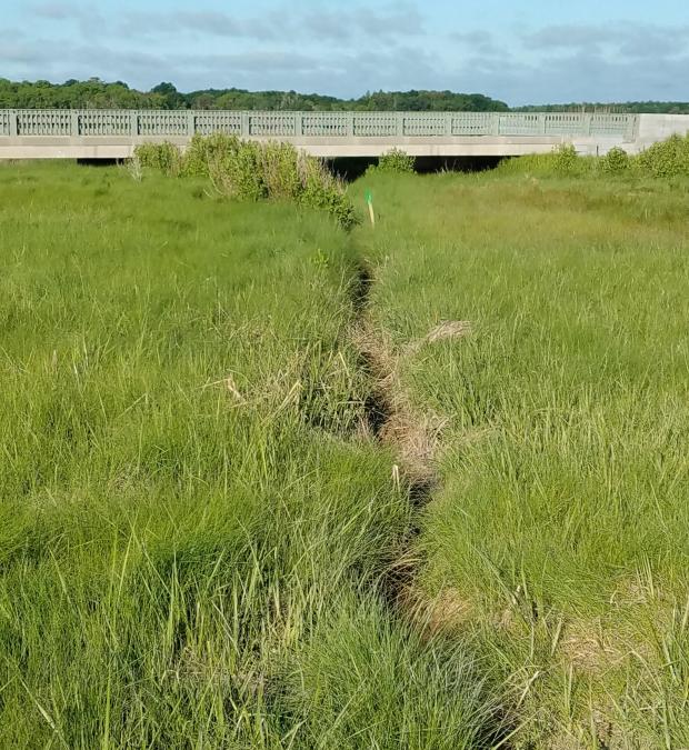 A green marsh with a ditch clearly going through it and a bridge in the background.