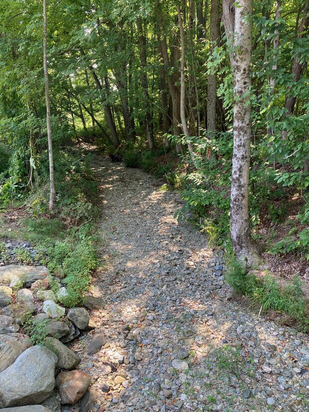 A dry stream bed.