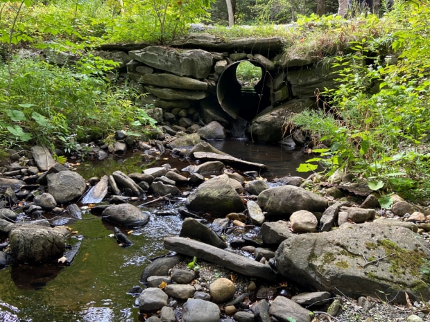 A rocky stream flowing out of a culvert.