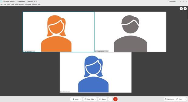 A virtual hearings attorney screen