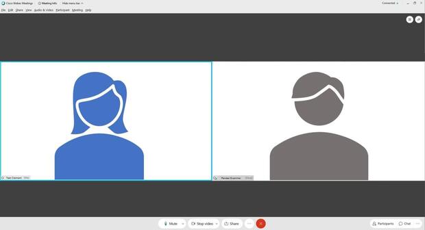 A screenshot of a virtual hearing