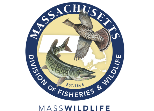 masswildlife