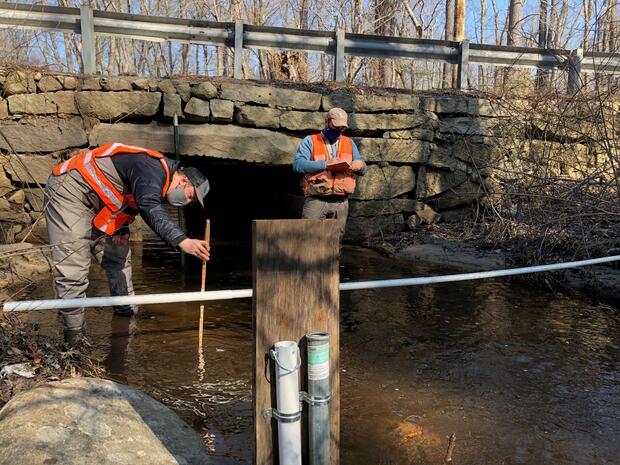 Two people standing in a stream taking measurements.