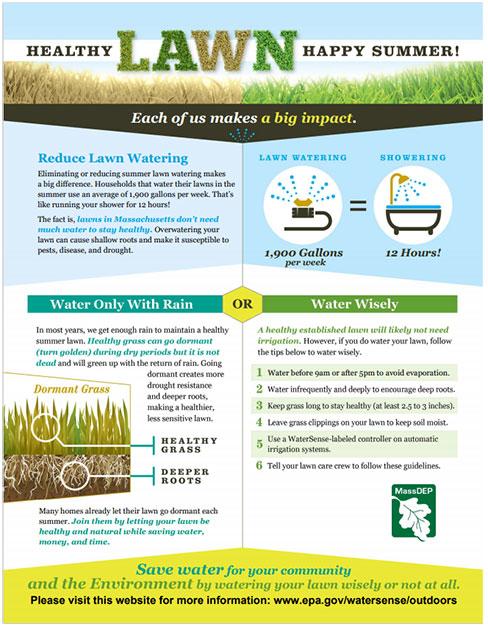 Healthy Lawn Happy Summer Toolkit