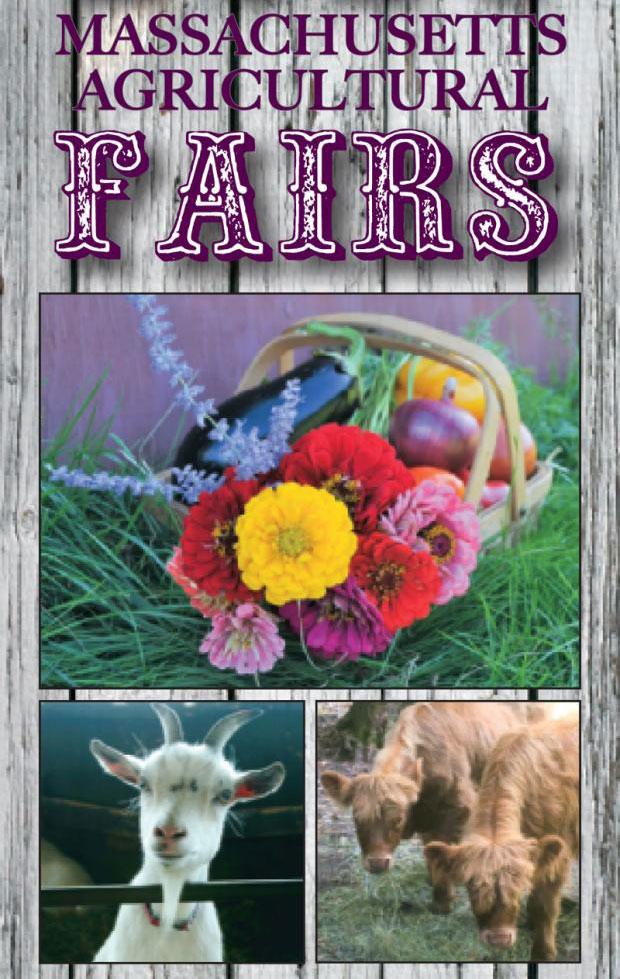Fairs Brochure cover