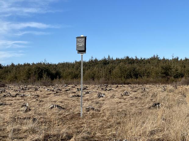 Bat box at Mill Brook Bogs WMA