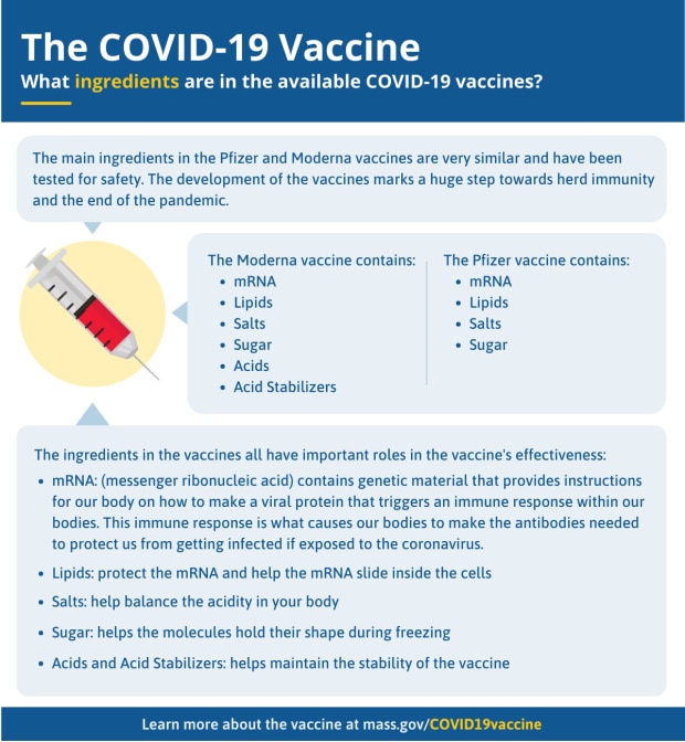 What ingredients are in the available COVID-19 vaccines?