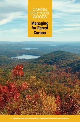 Caring for your Woods - Managing for Forest Carbon