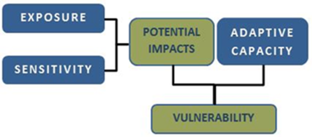 Vulnerability to climate change is a function of potential impacts and adaptive capacity. Potential impacts may result from contact with climate hazards and sensitivity due to age, pre-existing health conditions, or social disparities. Adaptive capacity includes factors that influence the ability to respond and recover from climate impacts.