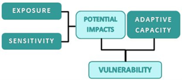 Vulnerability to climate change is a function of potential impacts and adaptive capacity. Potential impacts may result from contact with climate hazards and sensitivity due to age, pre-existing health conditions, or social disparities. Adaptive capacity includes factors that influence the ability to respond and recover from climate impacts.