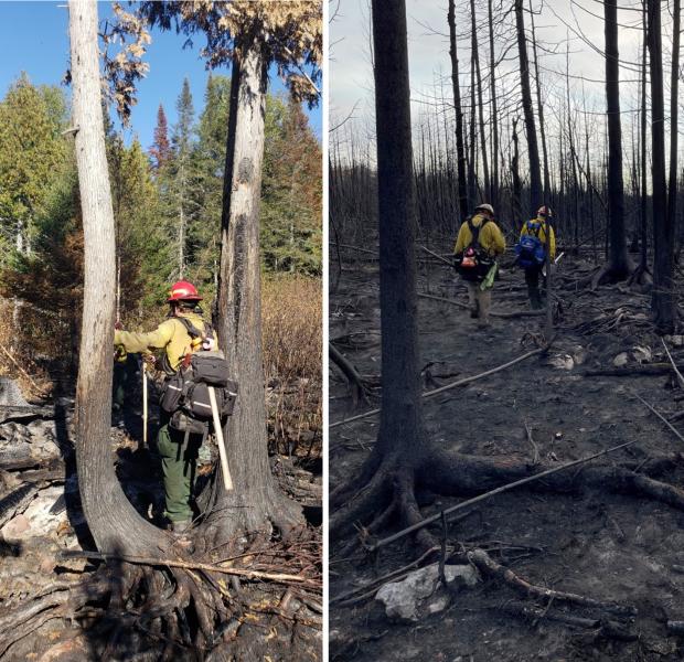 NE#4 Patrol leading edge of the fire and search for smokes in recently burned areas, on the Greenwood Fire, Minnesota. Photos: C. Connors, MassWildlife