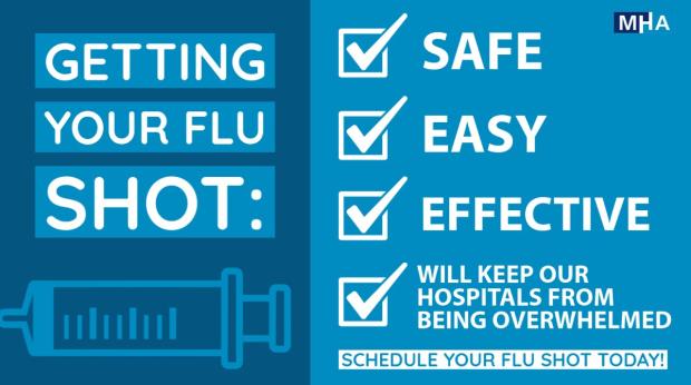 flu information