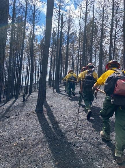  A Squad of Mas#1 Crew walk a recently burned area looking for smoke. Photo: C. Fleming, MassWildlife 