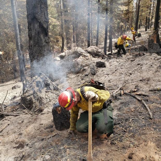 NorEast #1 crew members search for heat along the fireline of the Dixie Fire, California. Photo: D. Bove, MassWildlife