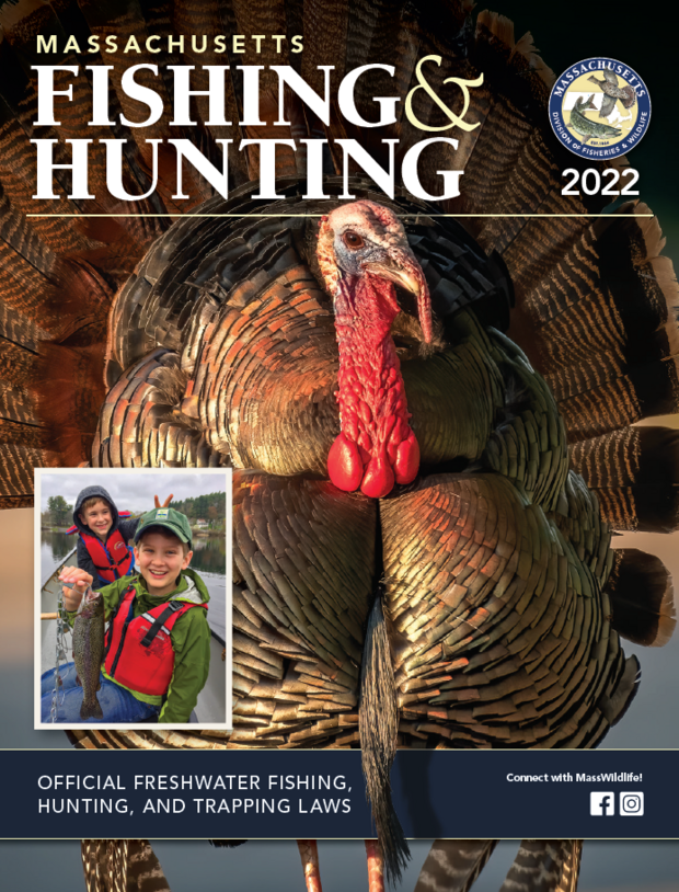 Massachusetts Guide to Fishing & Hunting