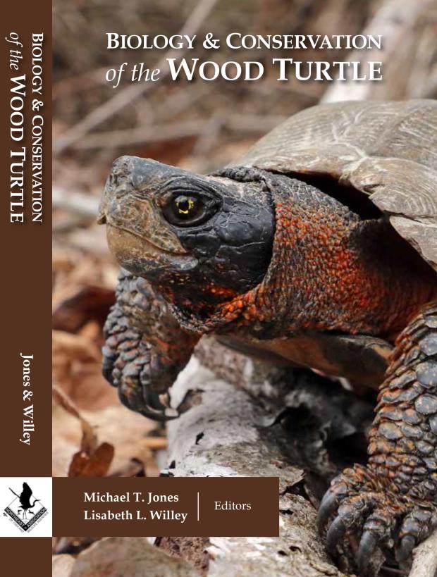 wood turtle book cover