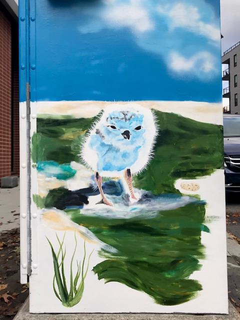 Piping plover mural