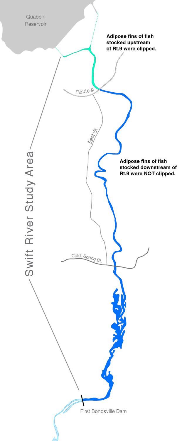 swift river study area map