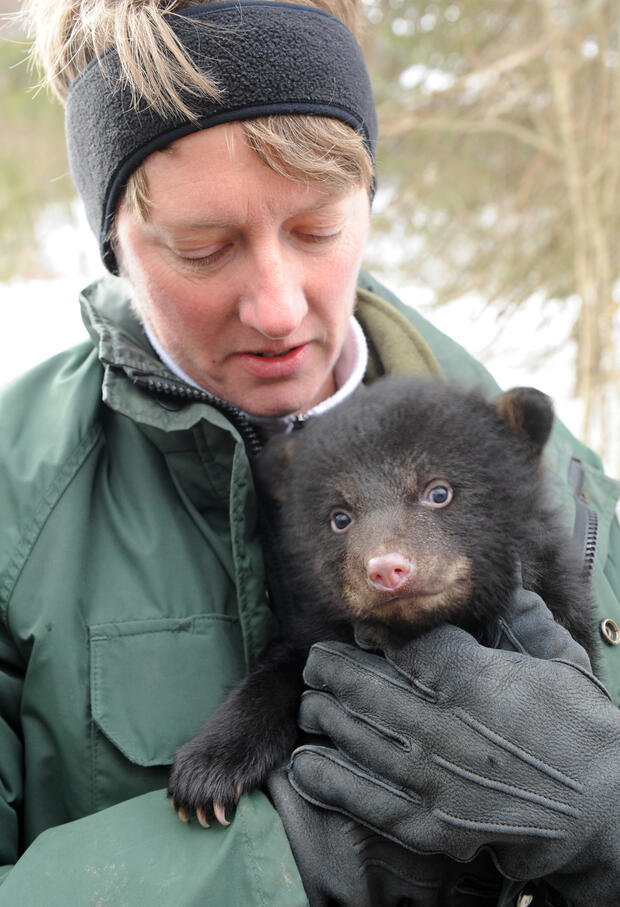 marion larson with bear cub