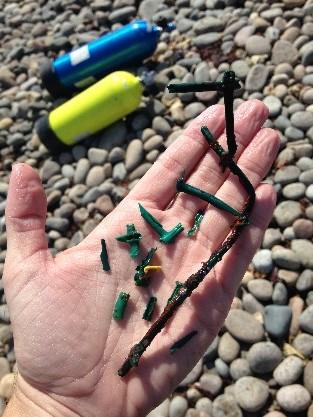 plastic debris collected during Coastsweep