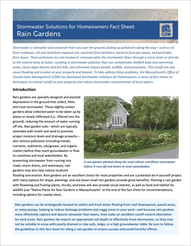 rain garden cover