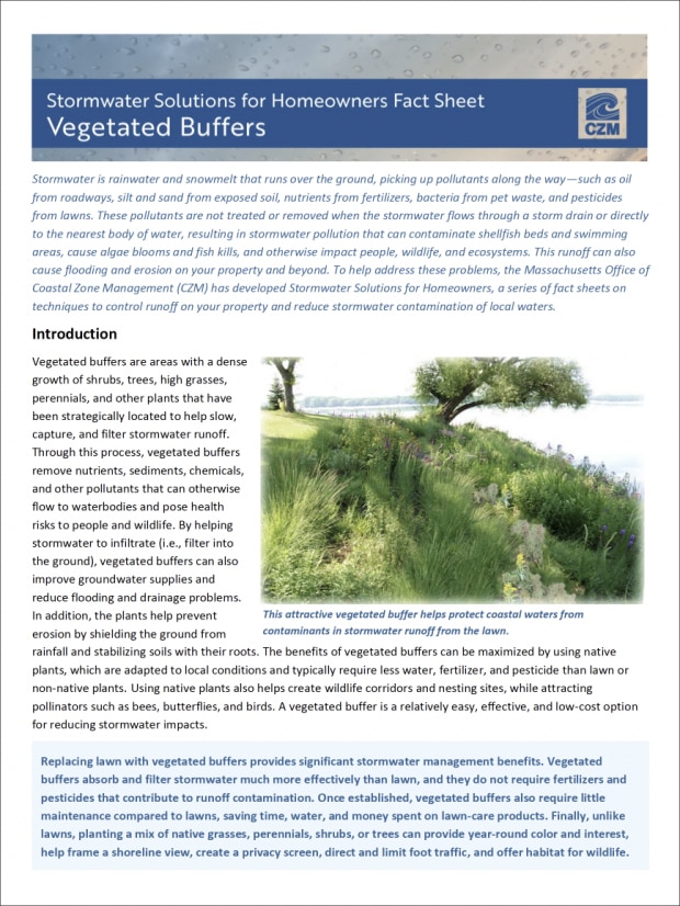 vegetated buffers cover shot