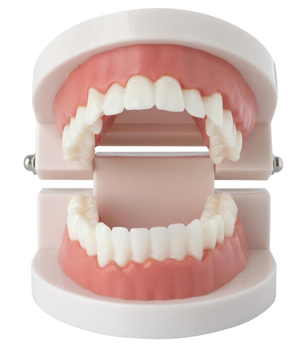 Types of MassHealth Network Providers Mass.gov