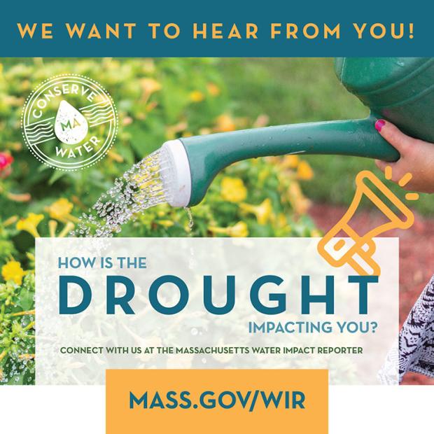 Download Drought Impact graphic